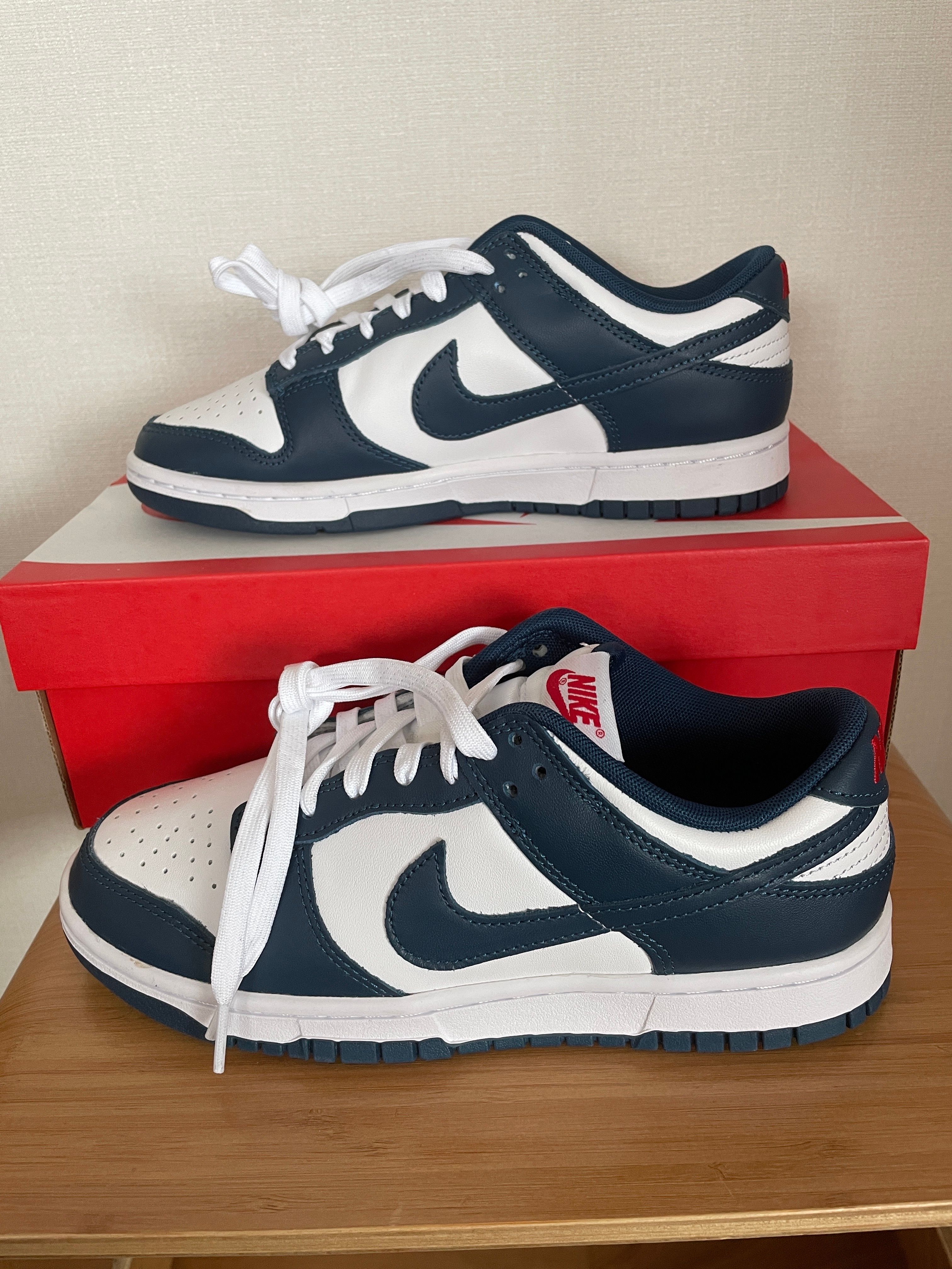 Nike Dunk Low "Valerian Blue"