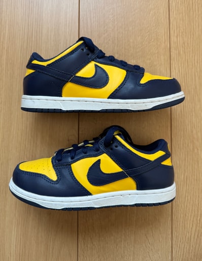Nike PS Dunk Low "Michigan"