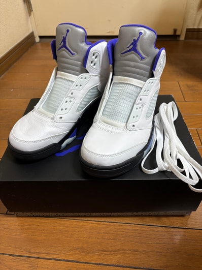 Nike Air Jordan 5 "Dark Concord"