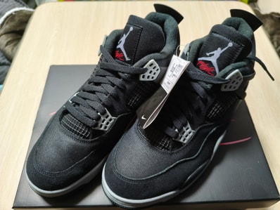 Nike Air Jordan 4 SE "Black and Light Steel"