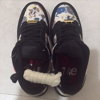 Supreme × Nike SB Dunk Low "Rammellzee"