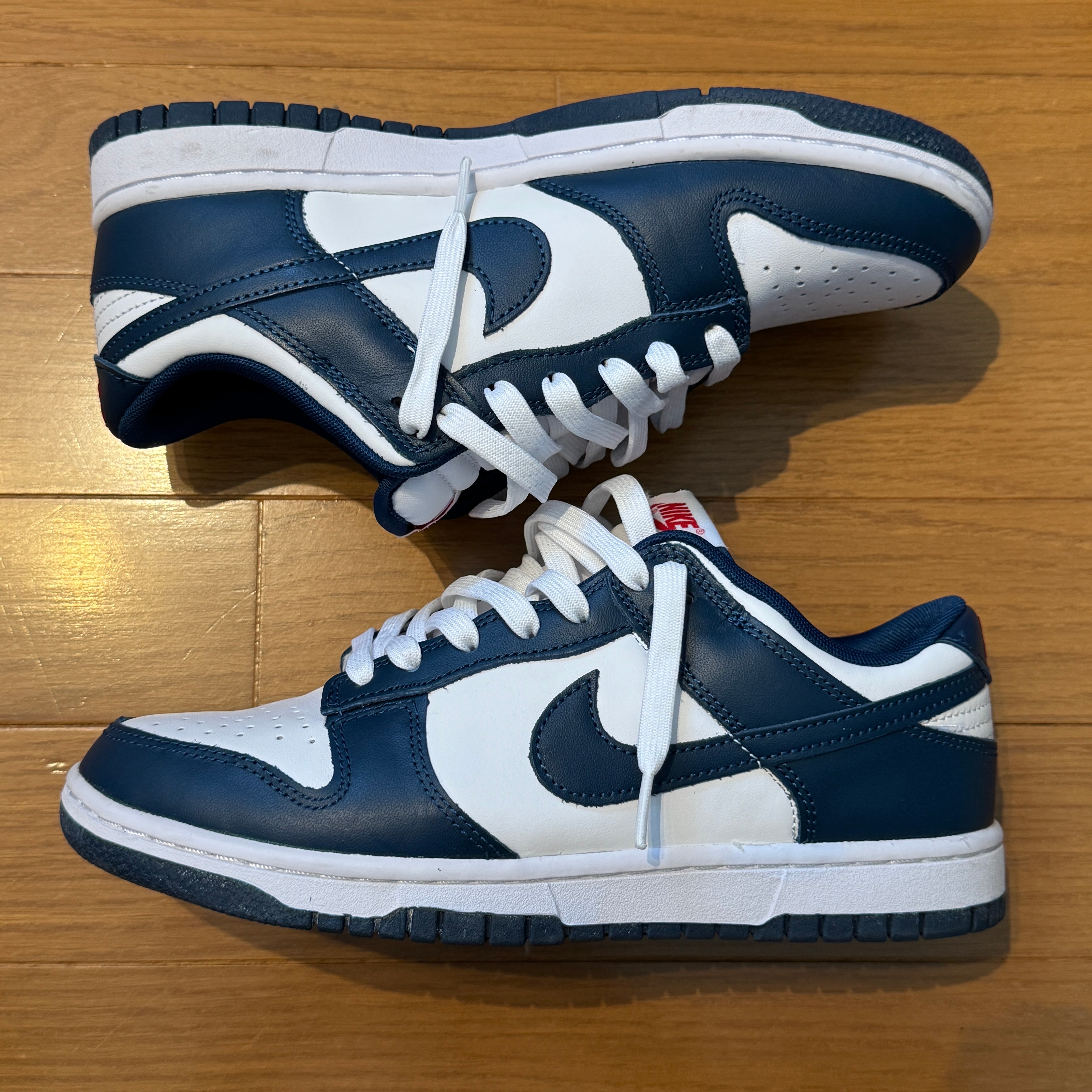 Nike Dunk Low "Valerian Blue"