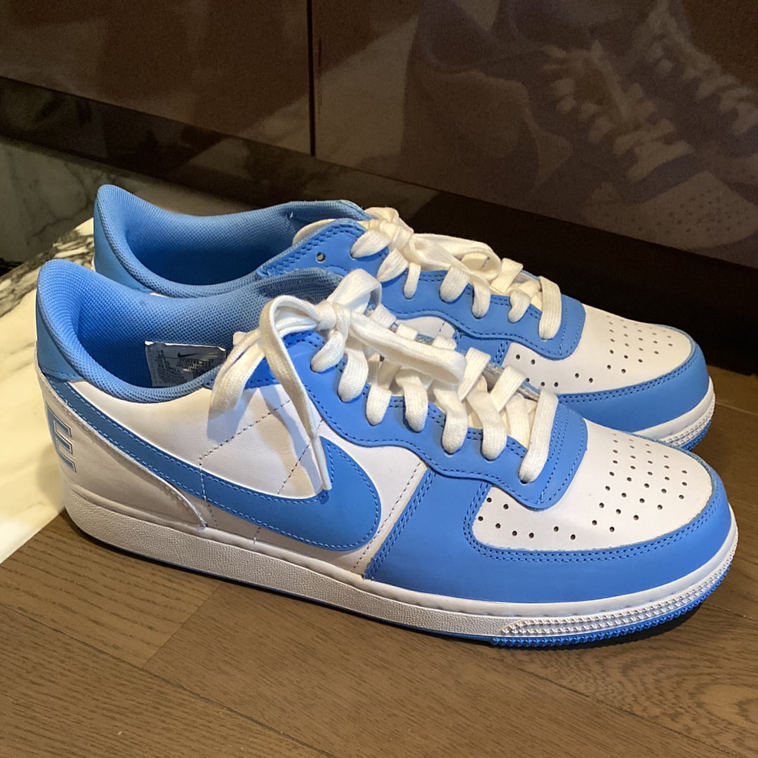 Nike Terminator Low "University Blue"