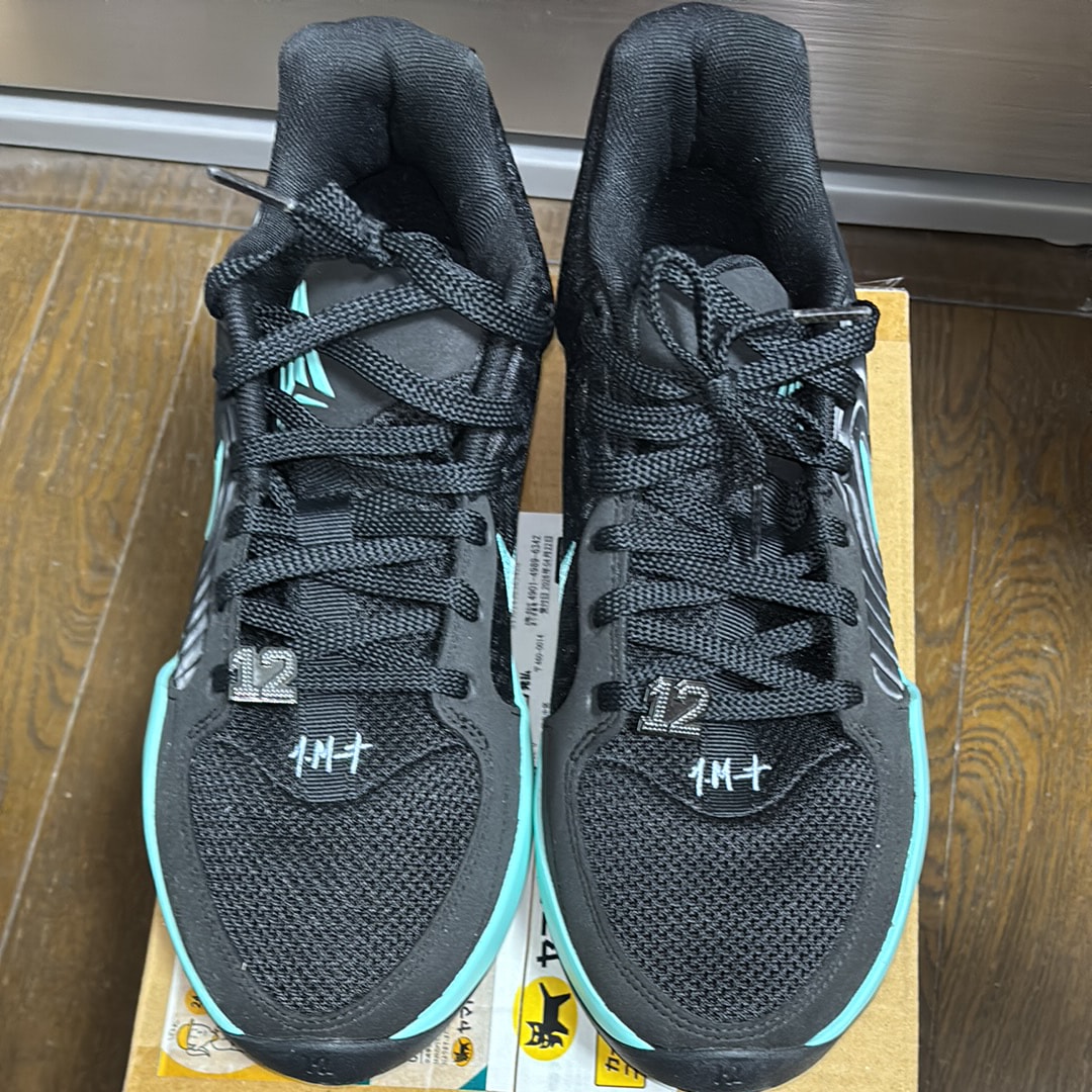 Nike Ja 2 "Tiffany Swoosh" (FD7328-003/FD7327-003)