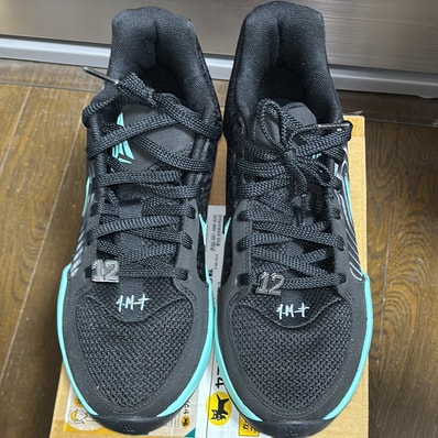 Nike Ja 2 "Tiffany Swoosh" (FD7328-003/FD7327-003)