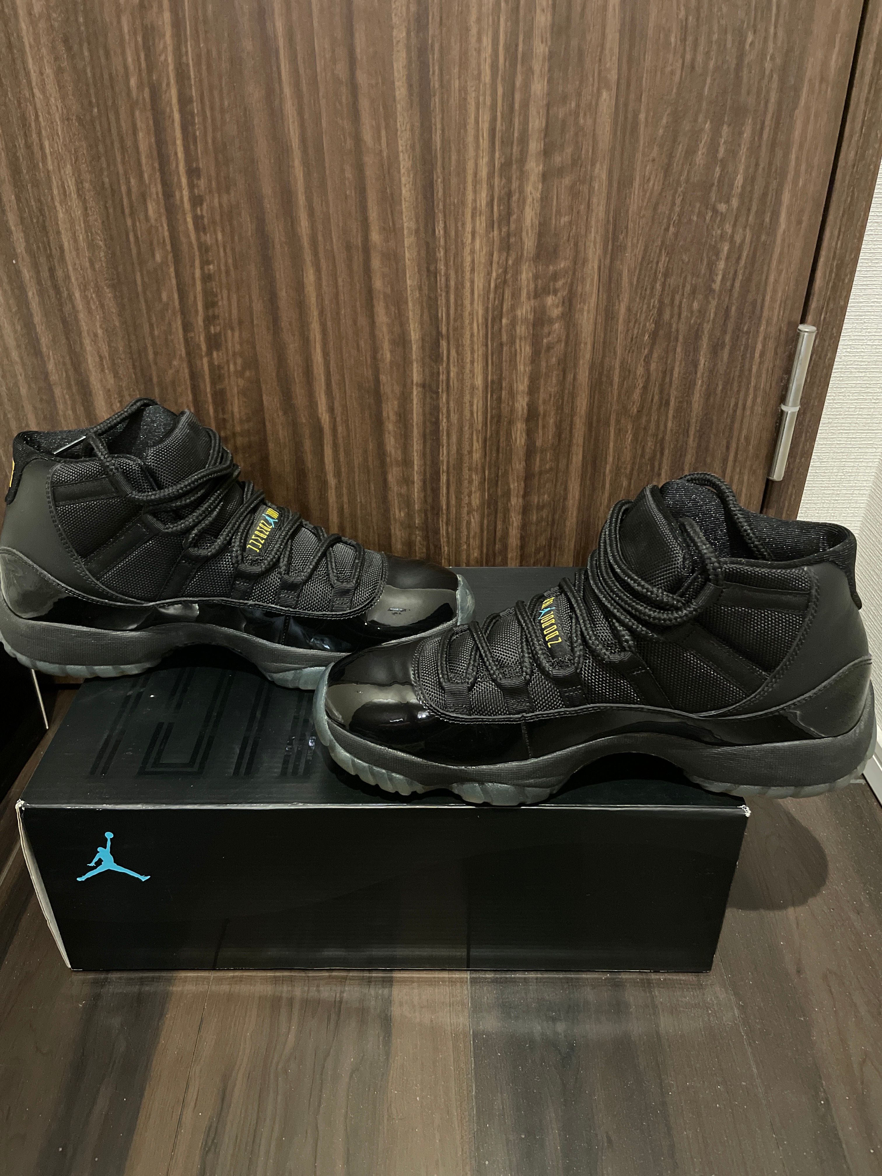 Nike Air Jordan 11 "Gamma" (2013)