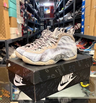 Nike Air Foamposite One Dream A World "Grey"