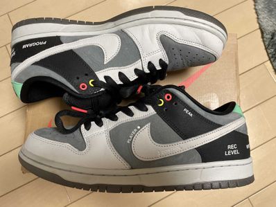 Nike SB Dunk Low Pro "VX1000 Camcorder"