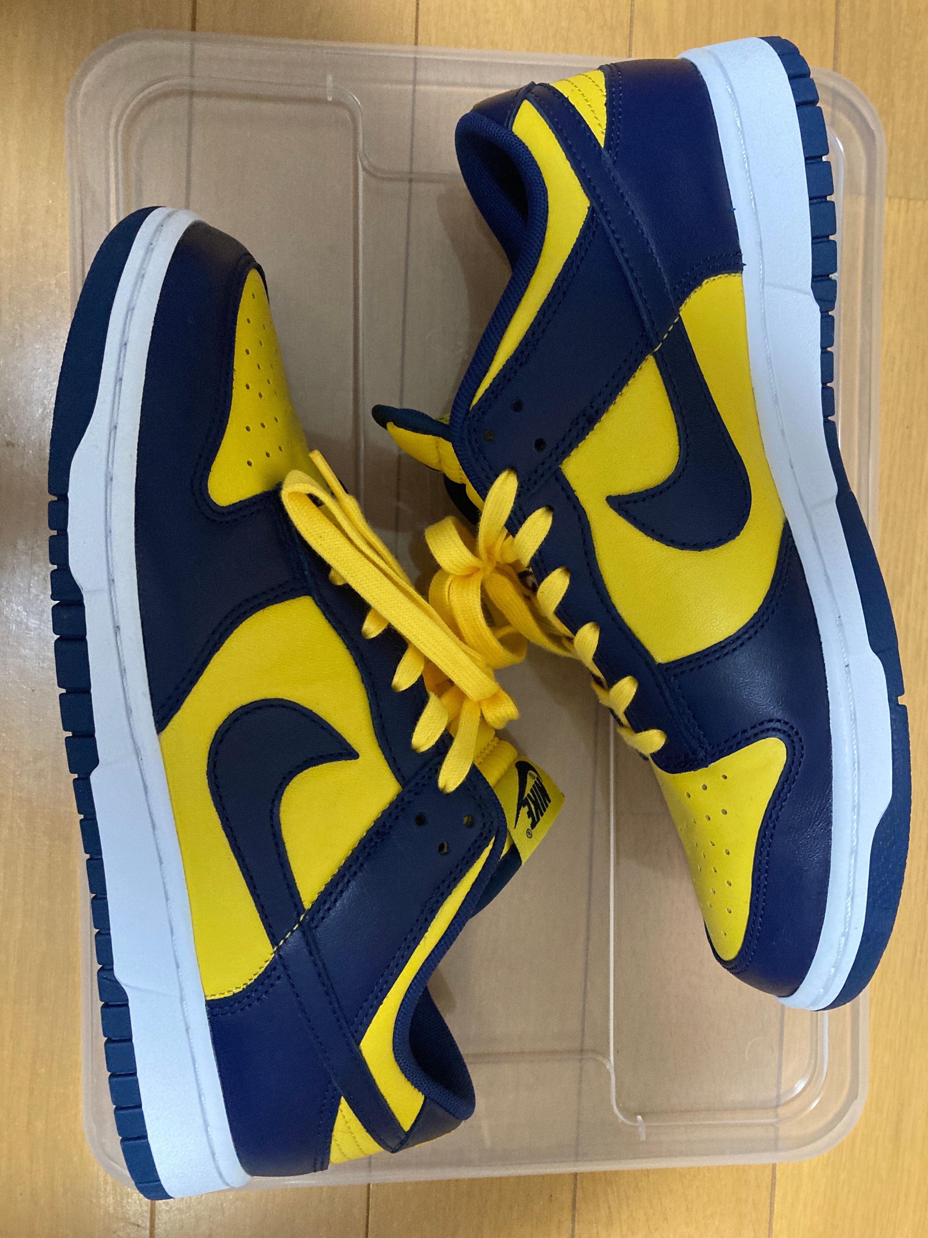 Nike Dunk Low "Michigan"