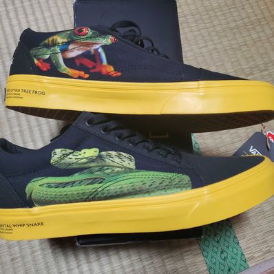 National Geographic × Vans GS Old Skool