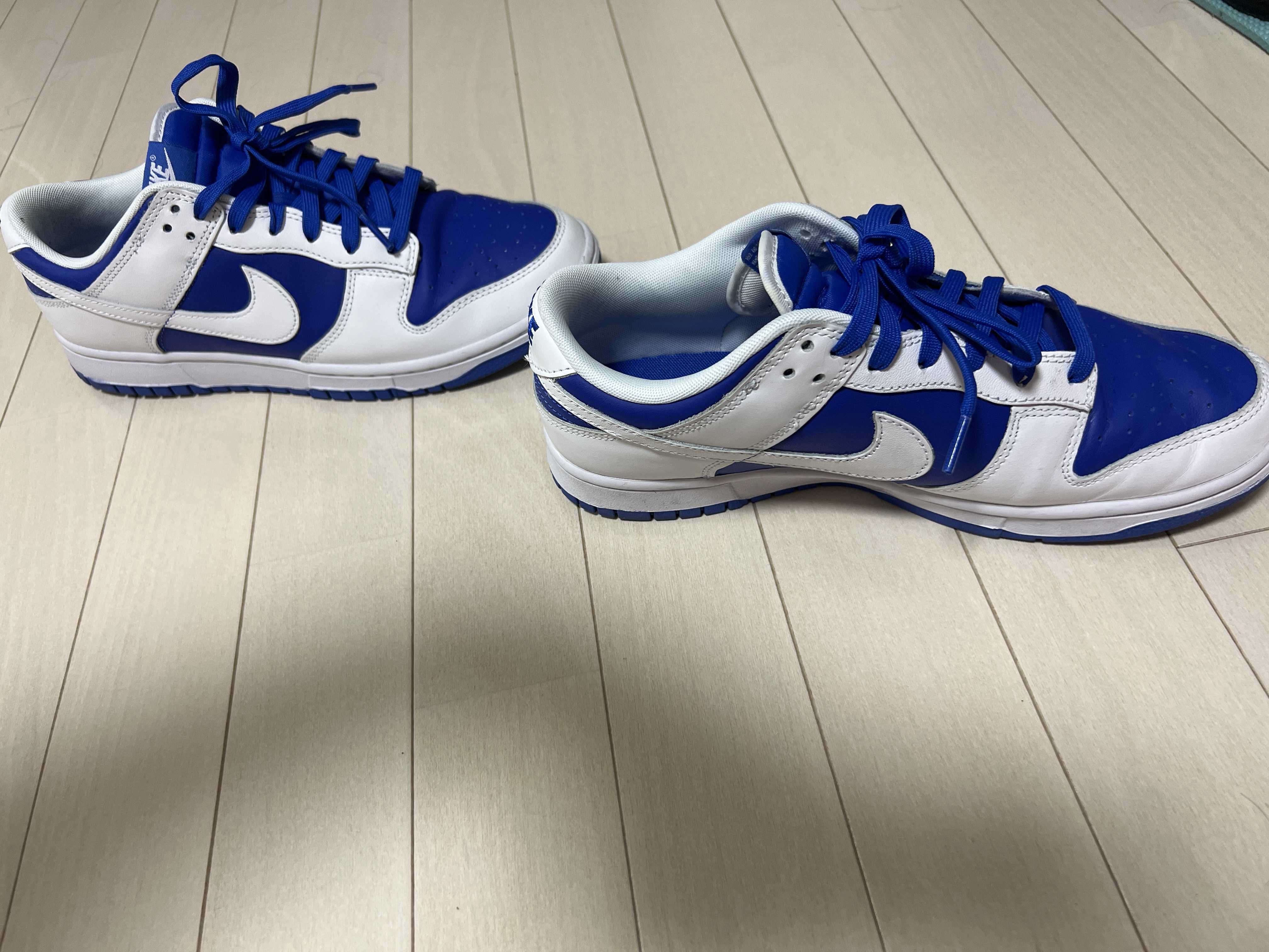 Nike Dunk Low Retro "Racer Blue and White"