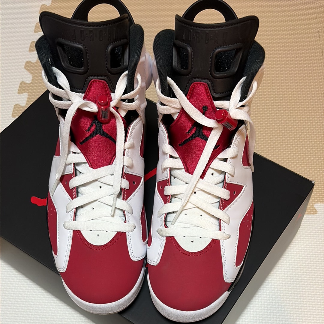 Nike Air Jordan 6 "Carmine" (2021)