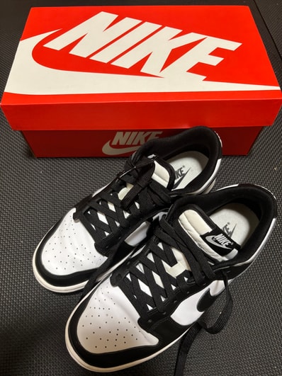 Nike Dunk Low Retro "Panda/White/Black"
