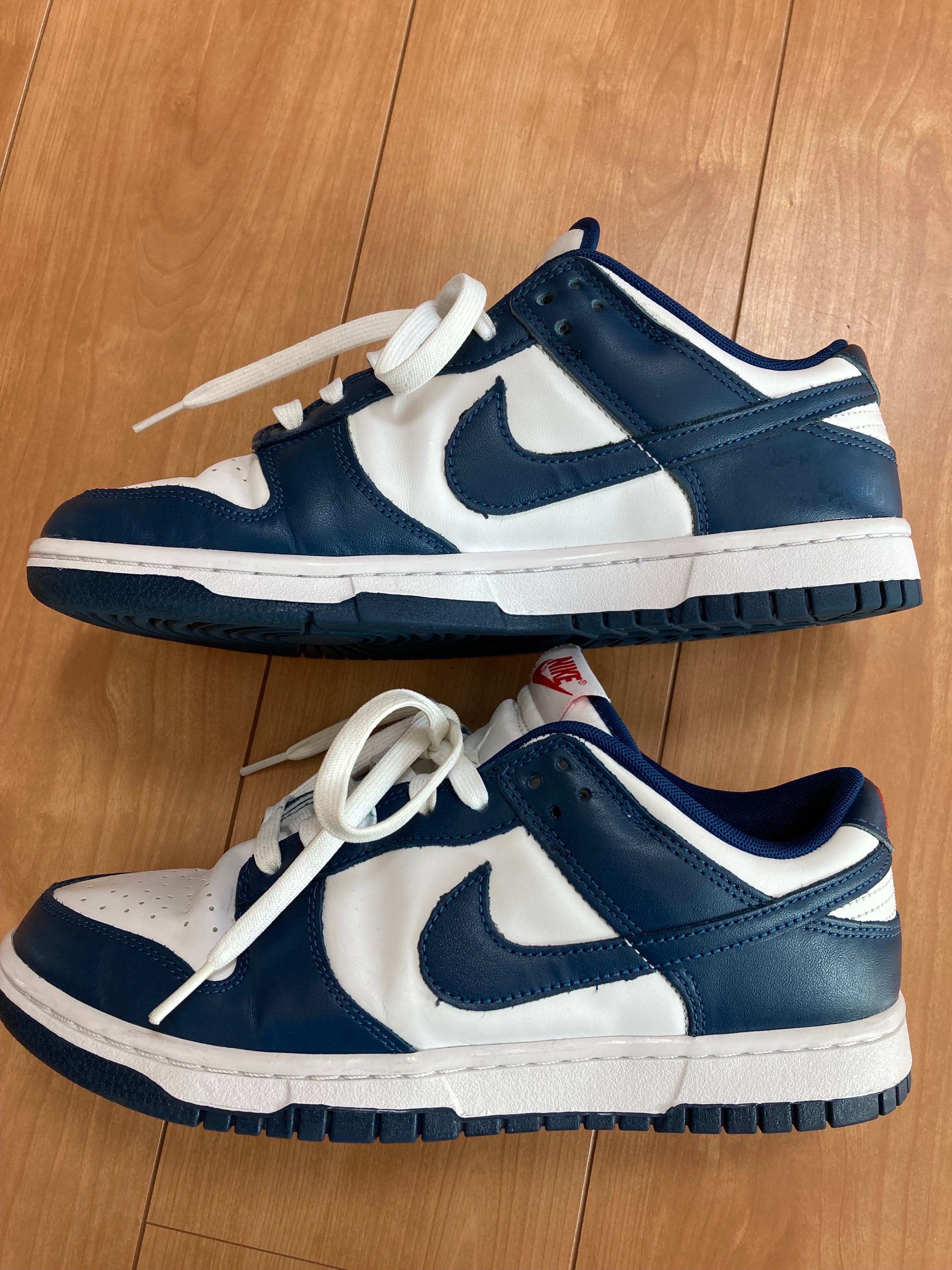 Nike Dunk Low "Valerian Blue"