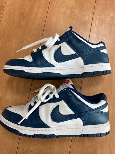 Nike Dunk Low "Valerian Blue"