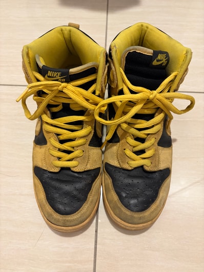 Nike SB Dunk High "Iowa" (2005)