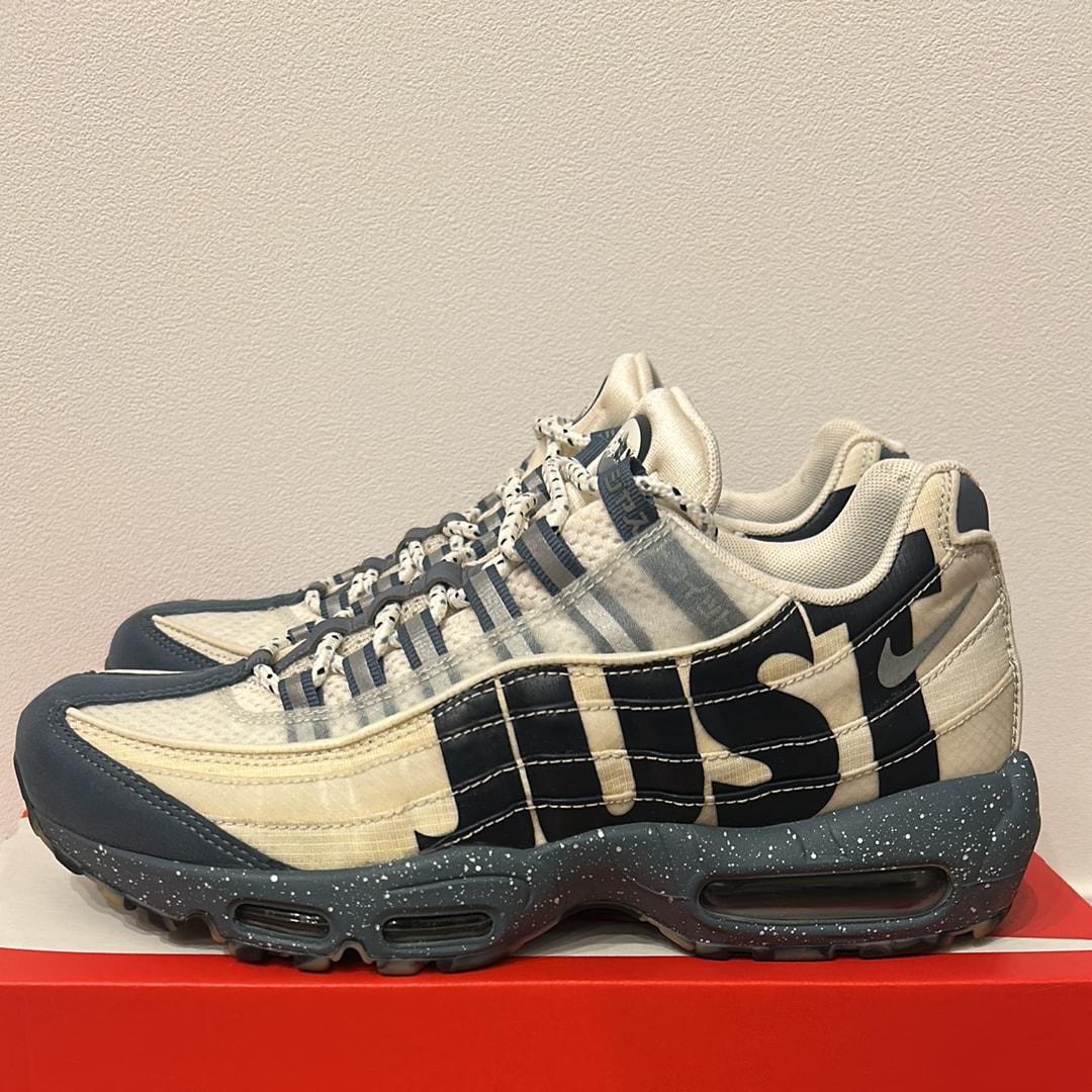 Nike Air Max 95 "Just Do It Mt. Fuji"