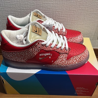 Stingwater × Nike SB Dunk Low "Magic Mushroom"