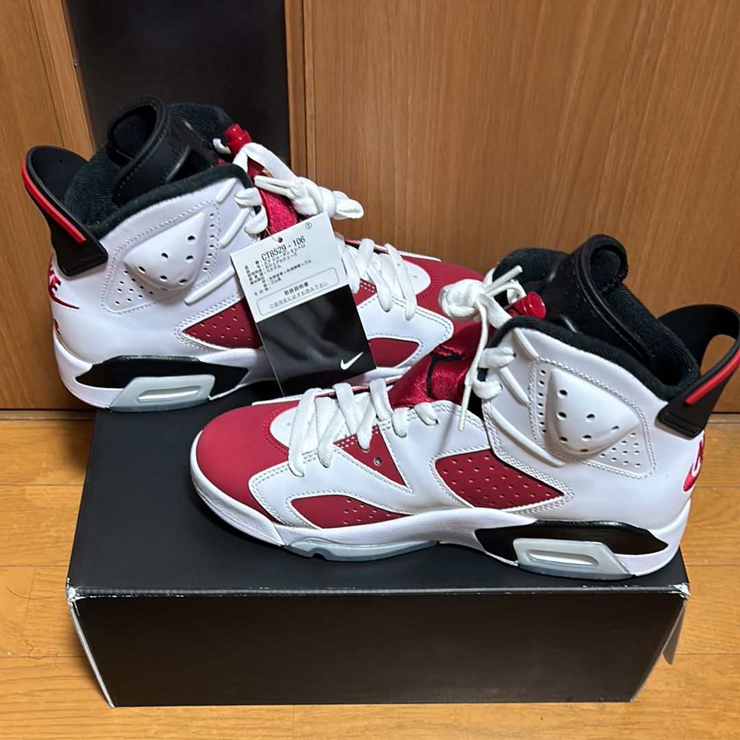 Nike Air Jordan 6 "Carmine" (2021)