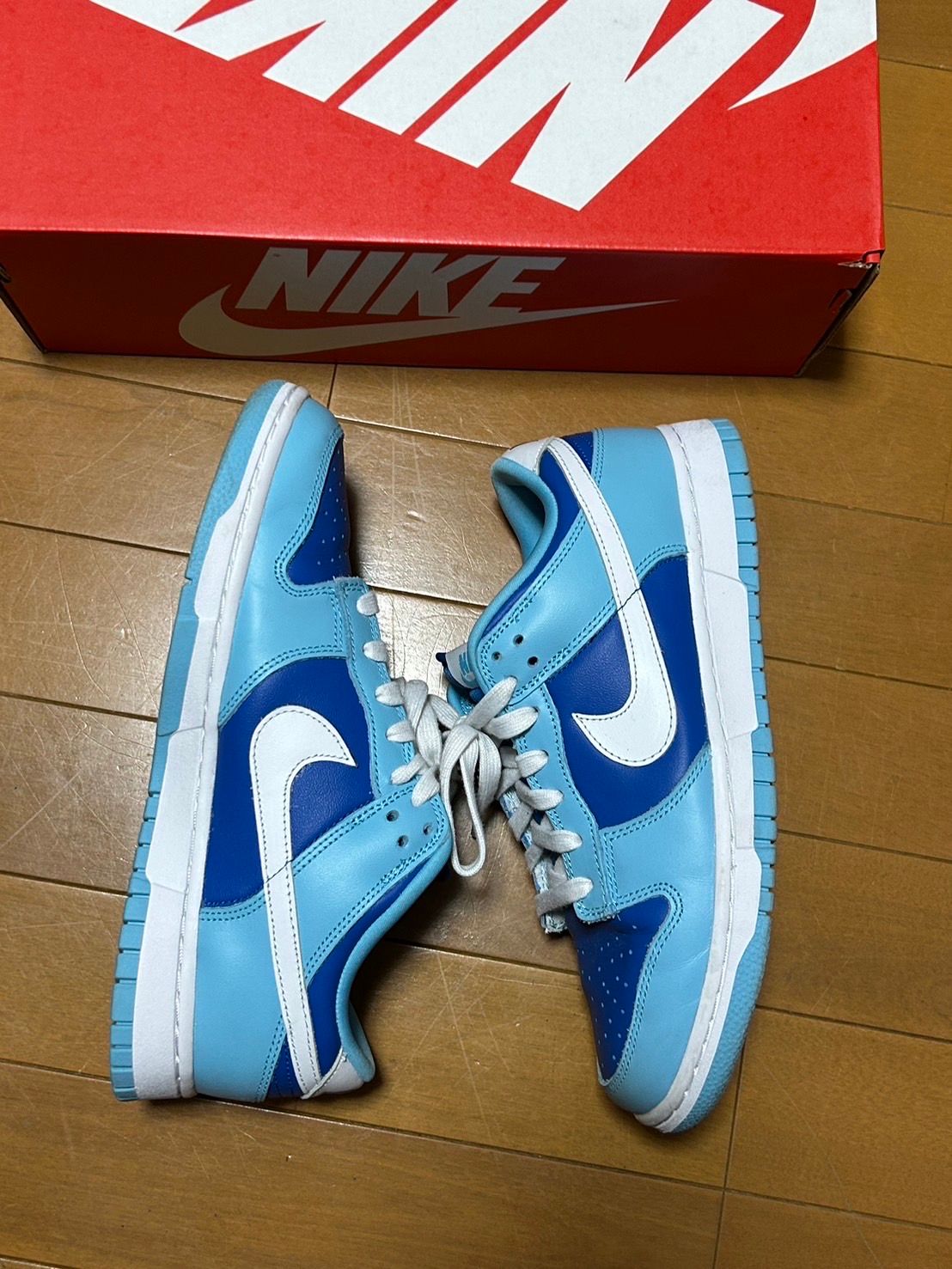 Nike Dunk Low Retro QS "Argon" (2022)