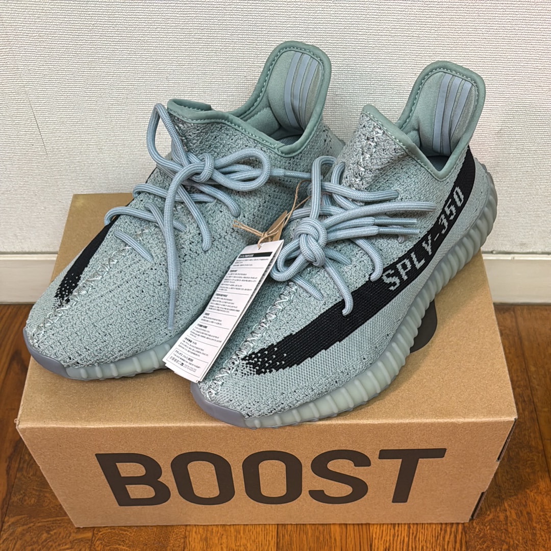 adidas YEEZY Boost 350V2 "Salt/Core Black" 