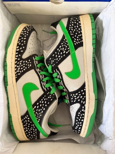 Nike SB Dunk Low "Loon"