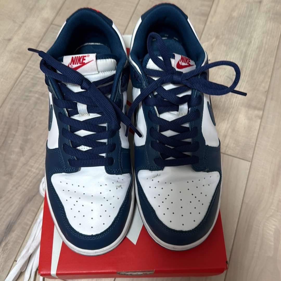 Nike Dunk Low "Valerian Blue"