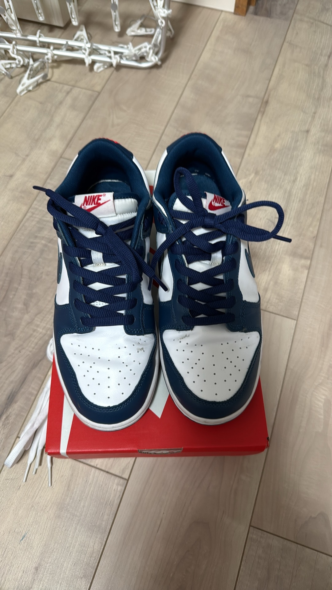 Nike Dunk Low "Valerian Blue"