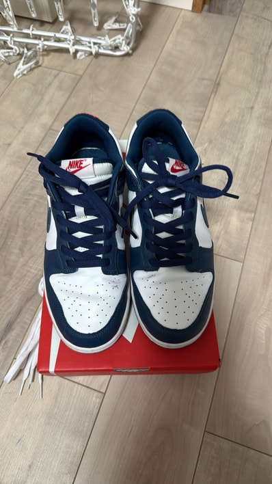 Nike Dunk Low "Valerian Blue"