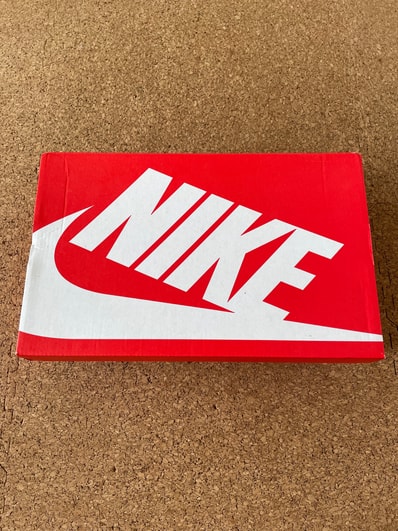 Nike Dunk Low Retro QS "Argon" (2022)