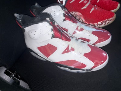 Nike Air Jordan 6 "Carmine" (2021)