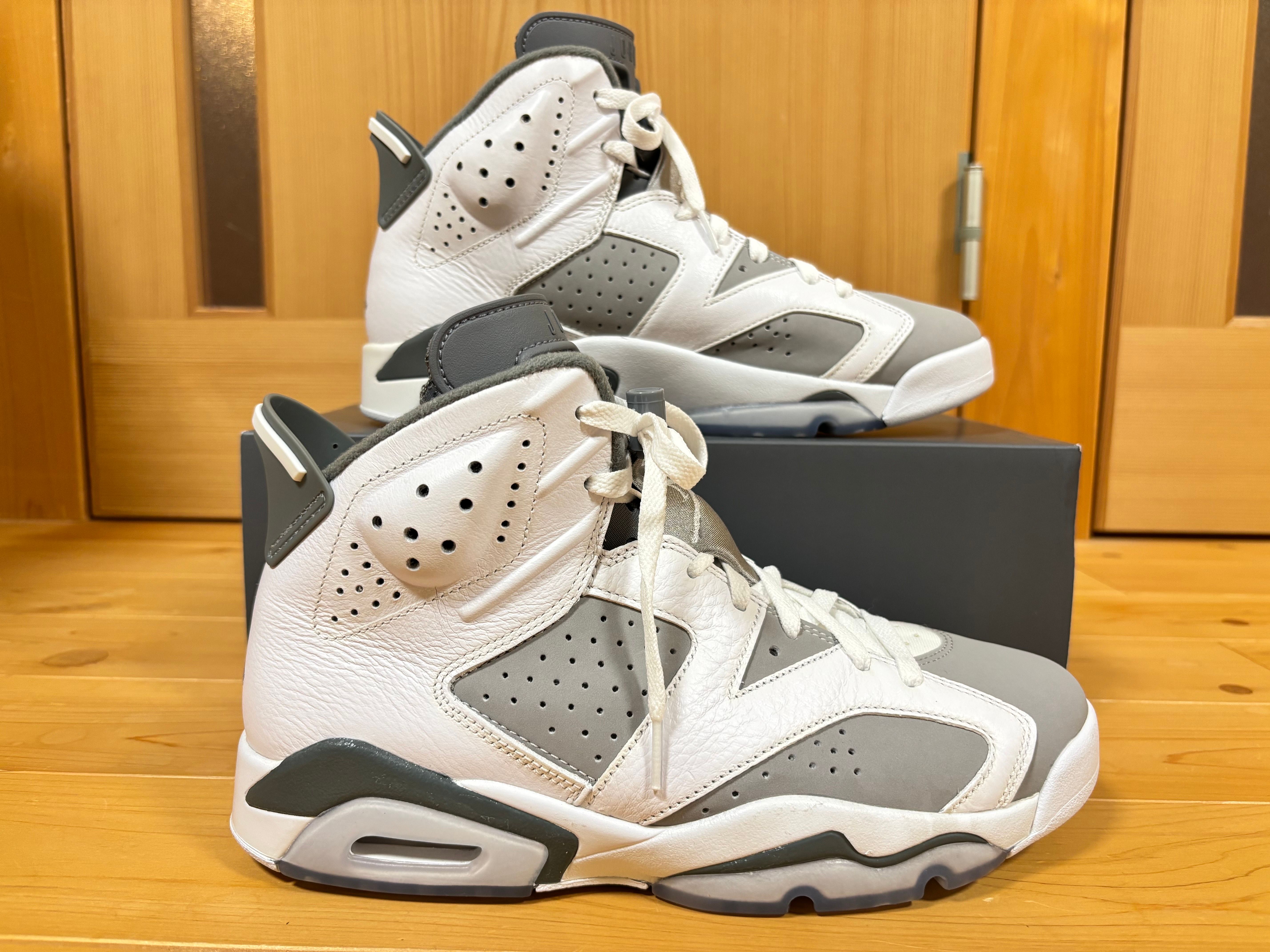 Nike  Air Jordan 6 "Cool Grey"