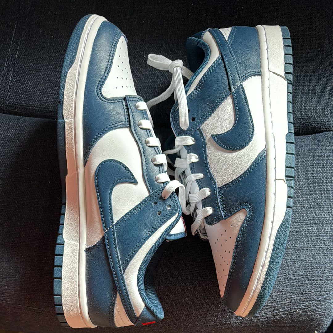 Nike Dunk Low "Valerian Blue"