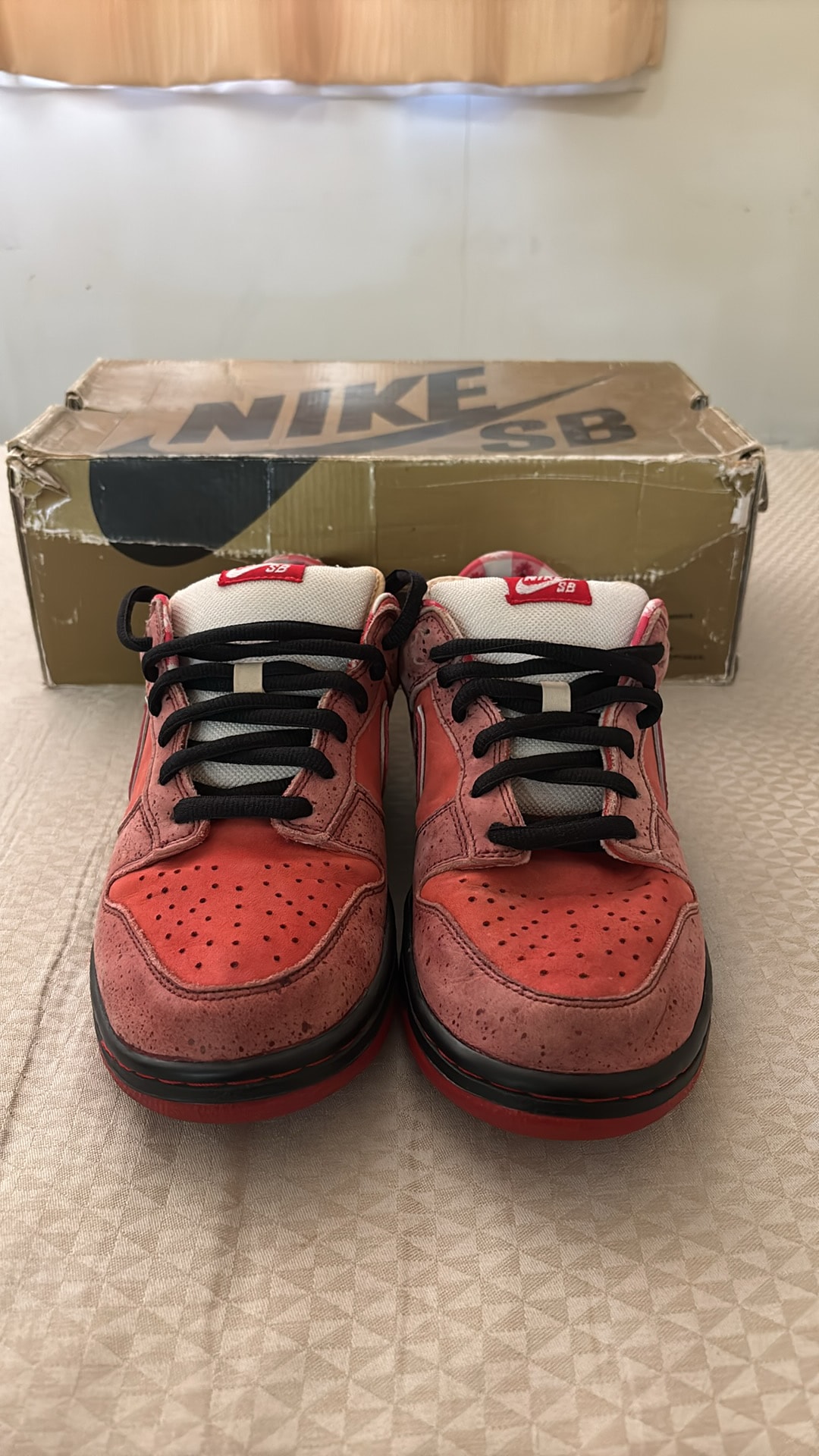 CONCEPTS × Nike SB Dunk Low "Red Lobster"