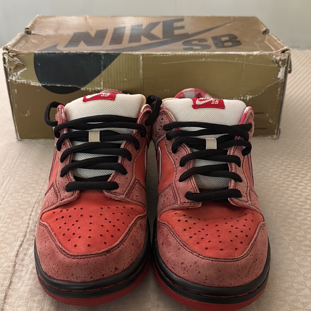 CONCEPTS × Nike SB Dunk Low "Red Lobster"