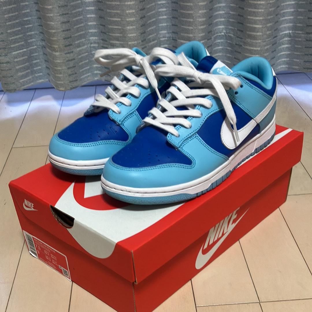 Nike Dunk Low Retro QS "Argon" (2022)