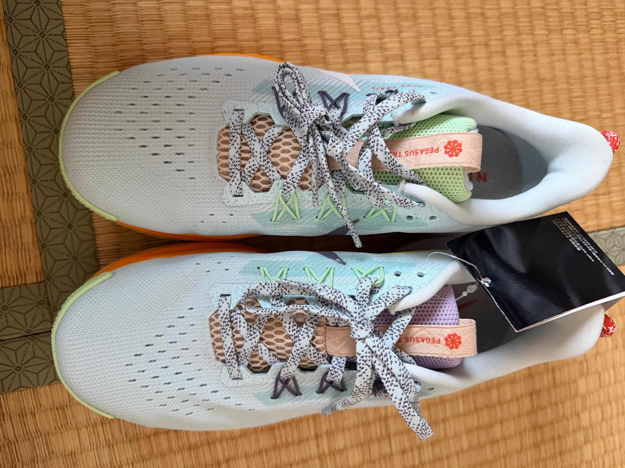 Nike Women's Pegasus Trail 5 "Glacier Blue/Daybreak/Sundial/White"