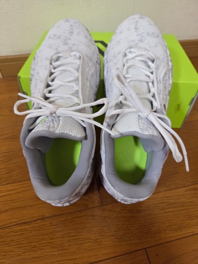 Nike Giannis Freak 8 LE "White/Light Smoke Grey" (JA1402-100/JA1403-100)