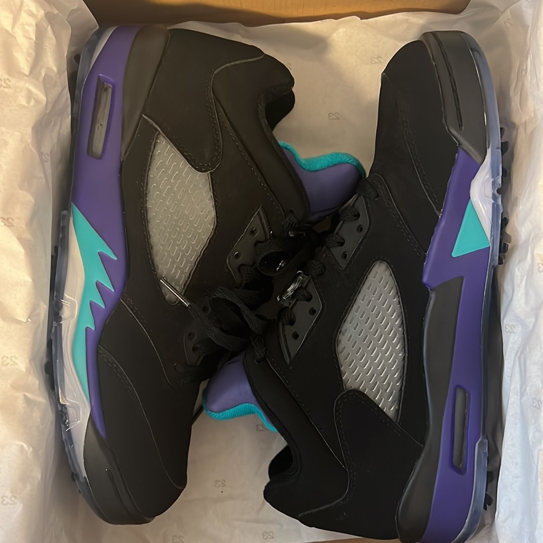Nike Air Jordan 5 Low Golf "Black Grape" 