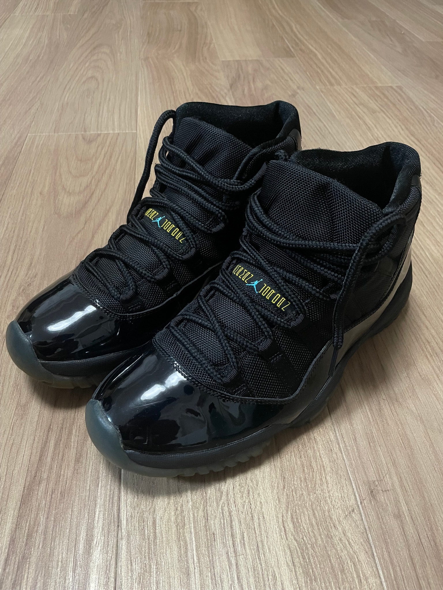 Nike Air Jordan 11 "Gamma" (2013)