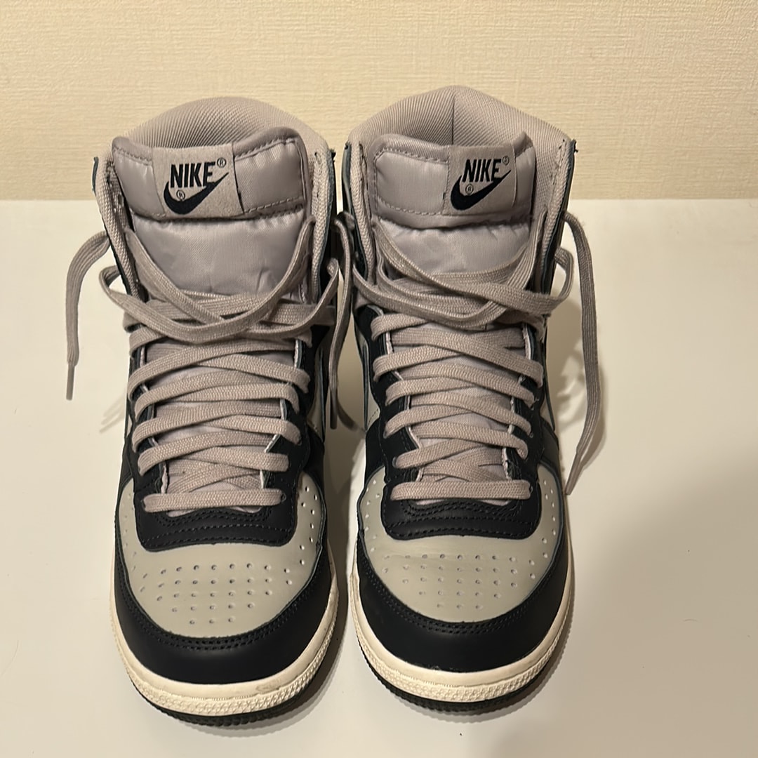 Nike Terminator High "Georgetown/Granite and Dark Obsidian"(2022)