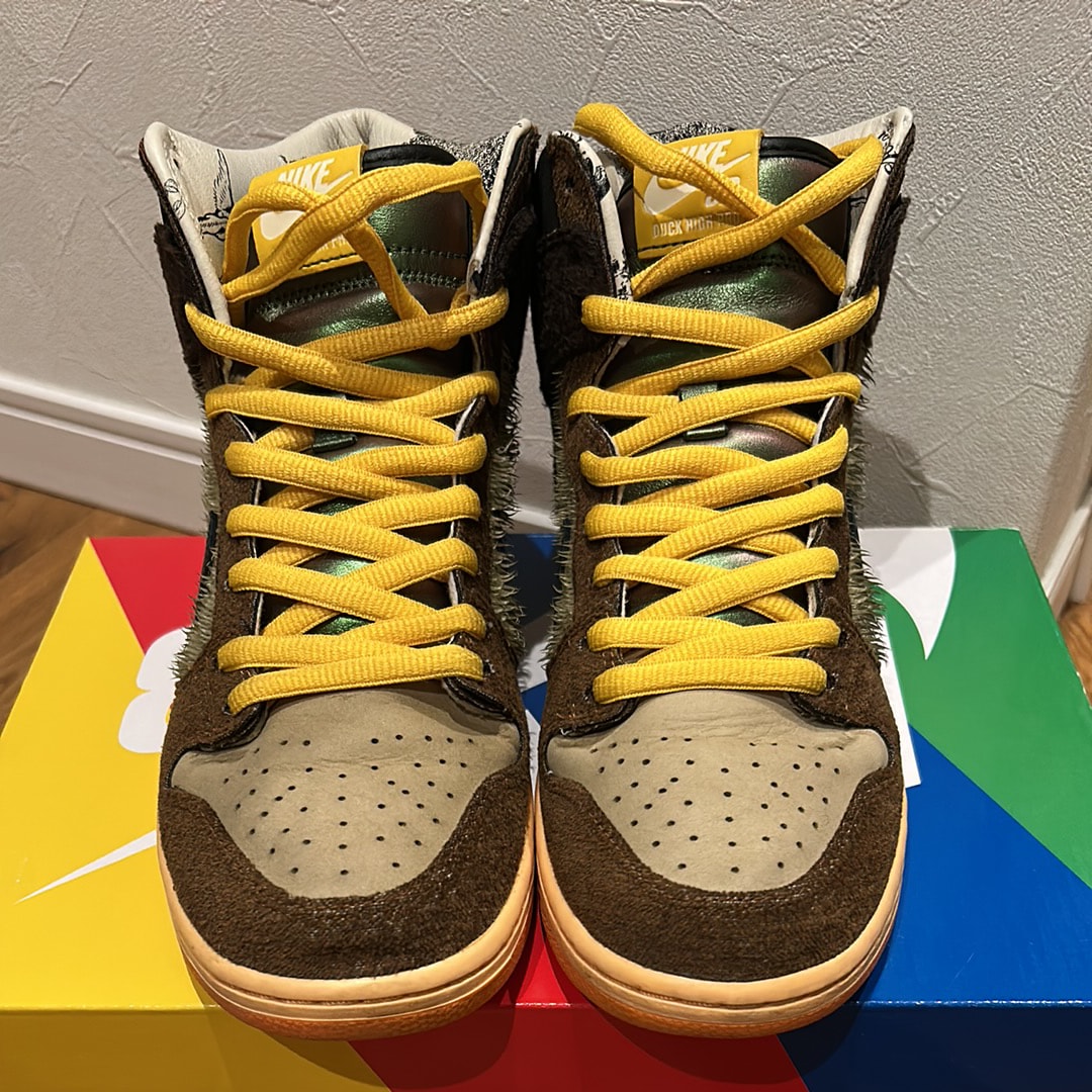 Concepts × Nike SB Dunk High "Duck"