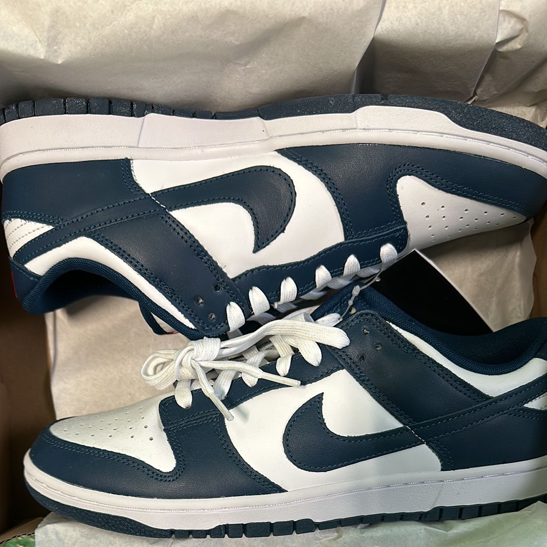 Nike Dunk Low "Valerian Blue"