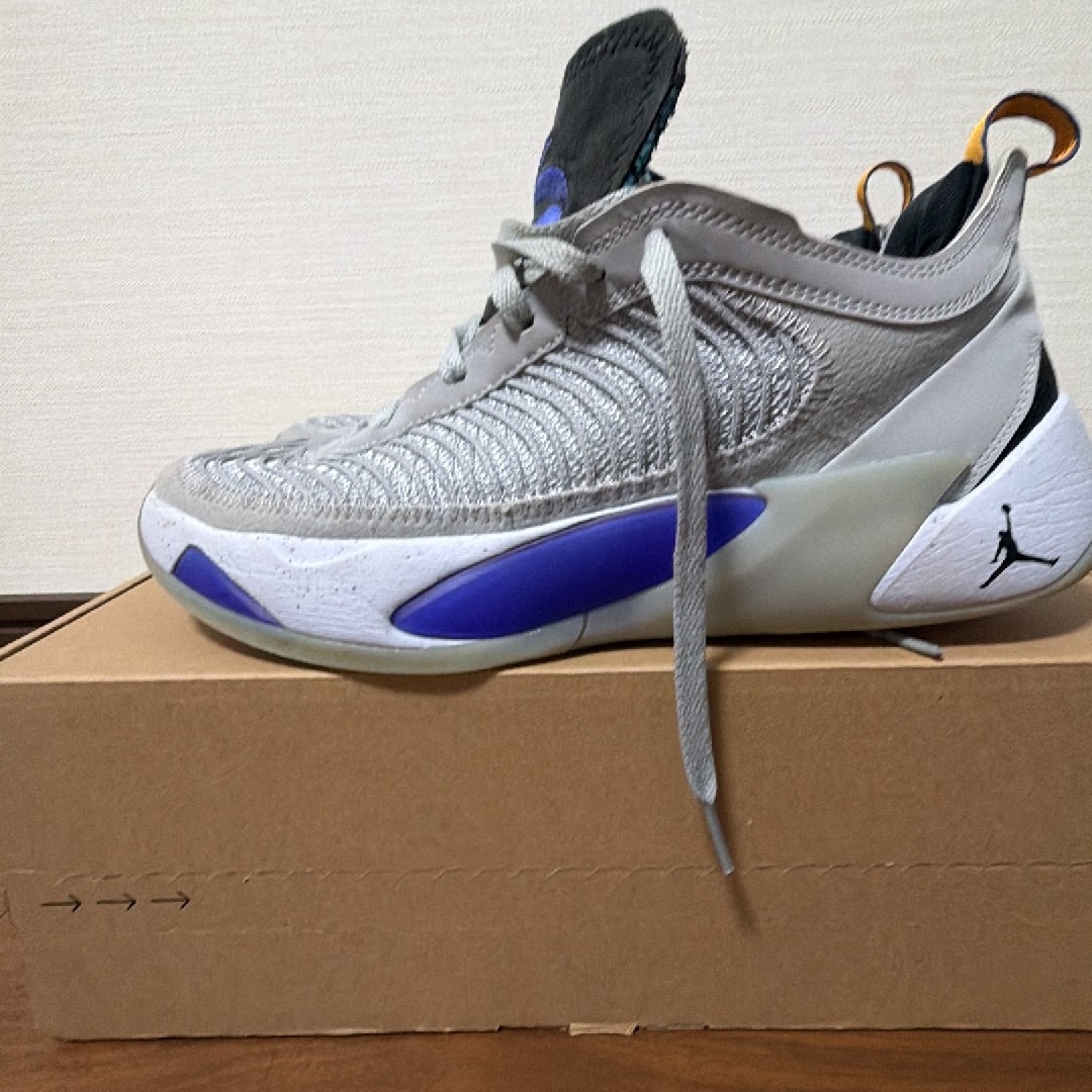 Nike Jordan Luka 1 Next Nature "Wolf Grey"