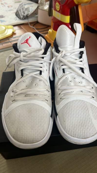Nike Jordan Zoom Separate "White/Black" (DH0248-051/DH0249-051)