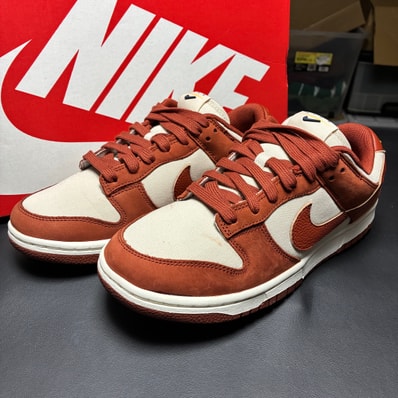 Nike Women's Dunk Low LX NBHD "Light Orewood Brown"