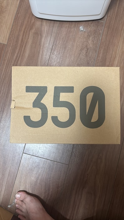 adidas YEEZY Boost 350V2 "Carbon Beluga"