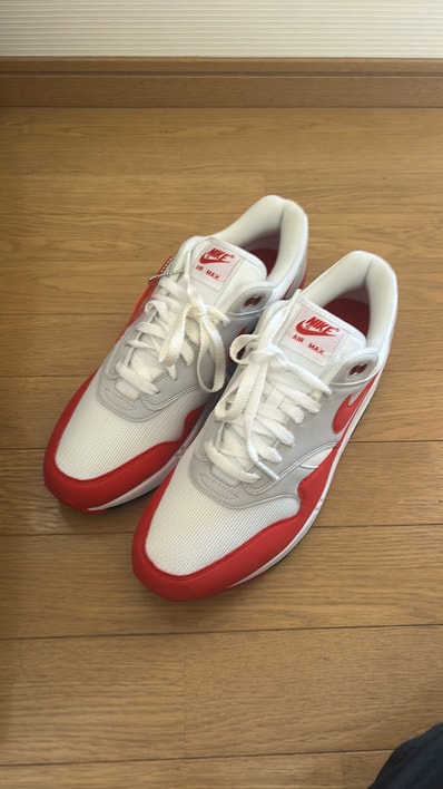 Nike Air Max 1 "Anniversary Red" (2017)