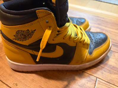 Nike Air Jordan 1 High OG "Pollen"