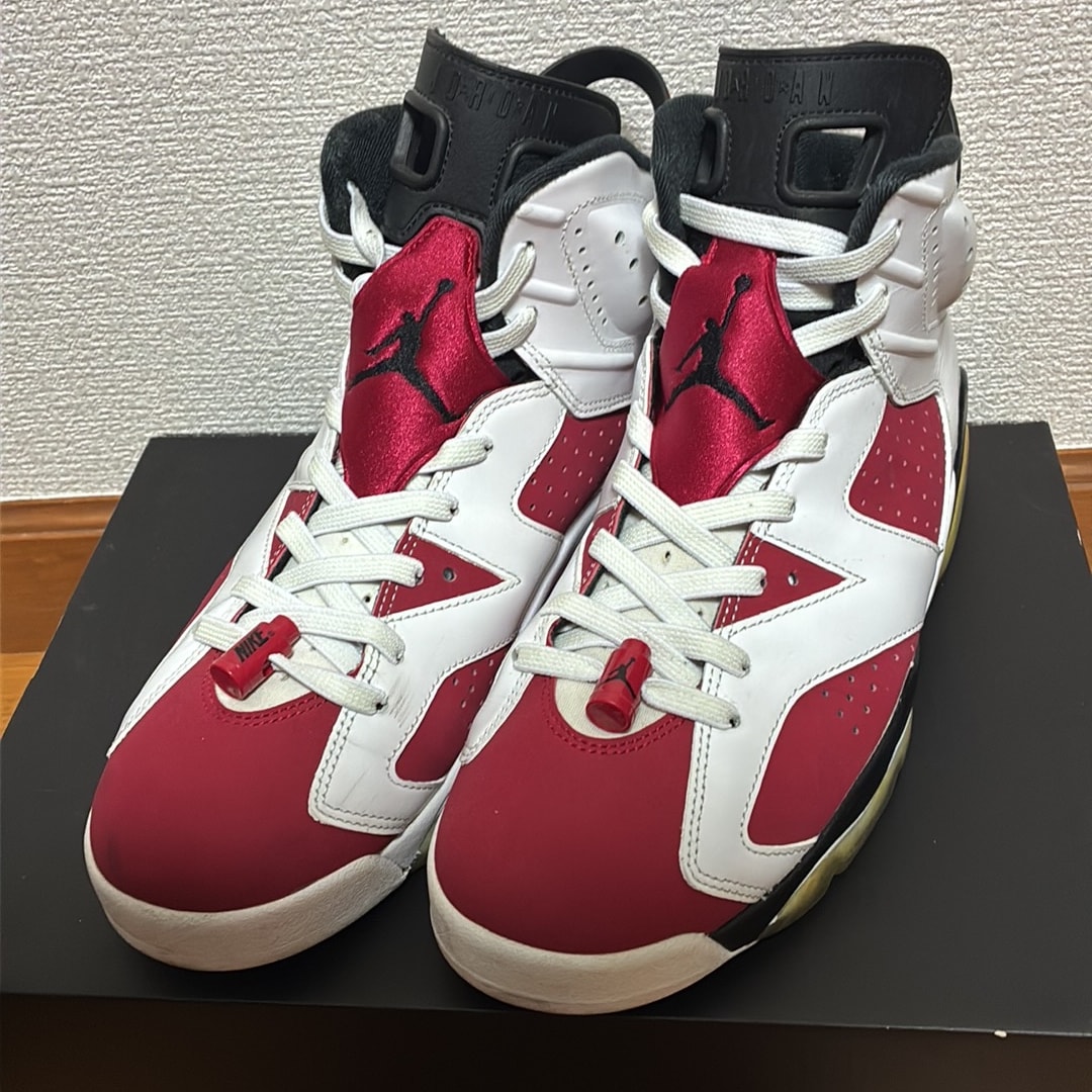 Nike Air Jordan 6 "Carmine" (2021)
